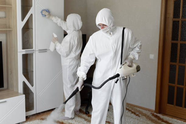 24/7 Emergency Odor Removal experts in Mingo, OH